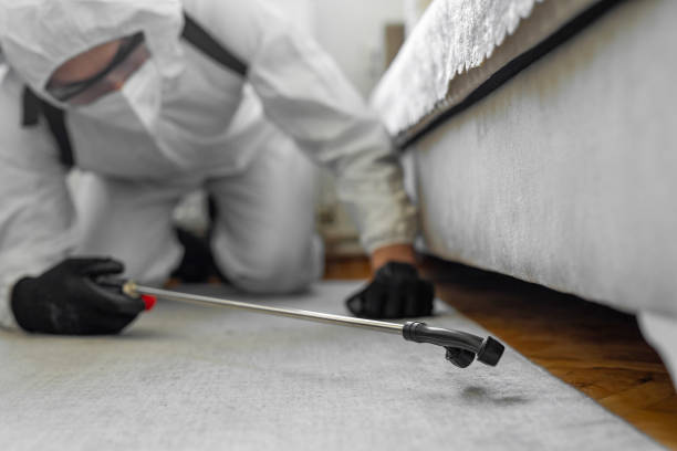 Professional Bed Bug Control technician working in Burley, ID
